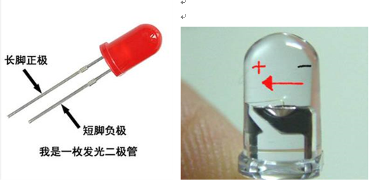 發光麻豆国产一区的正負極