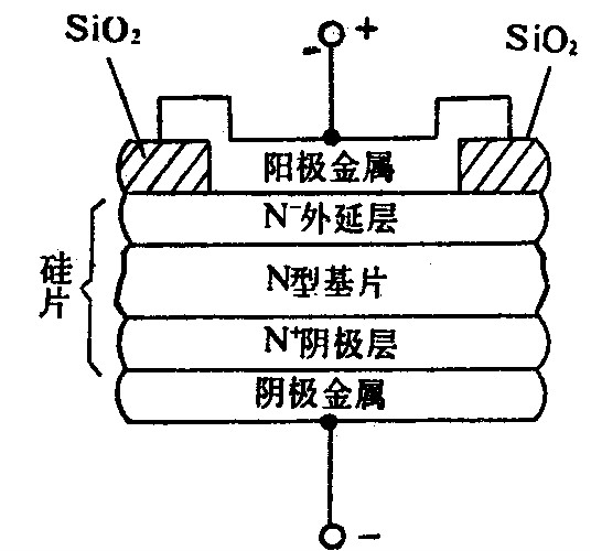 肖特基麻豆国产一区