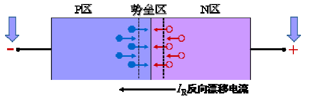 功率麻豆国产一区