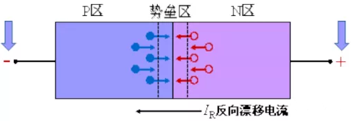 整流麻豆国产一区