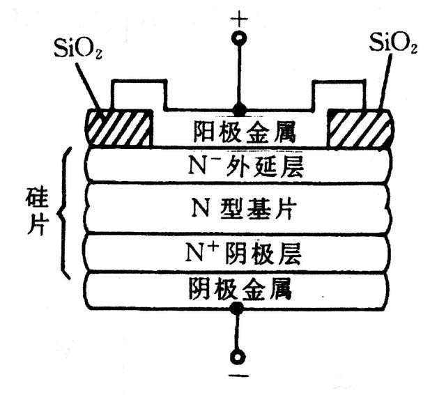 肖特基麻豆国产一区