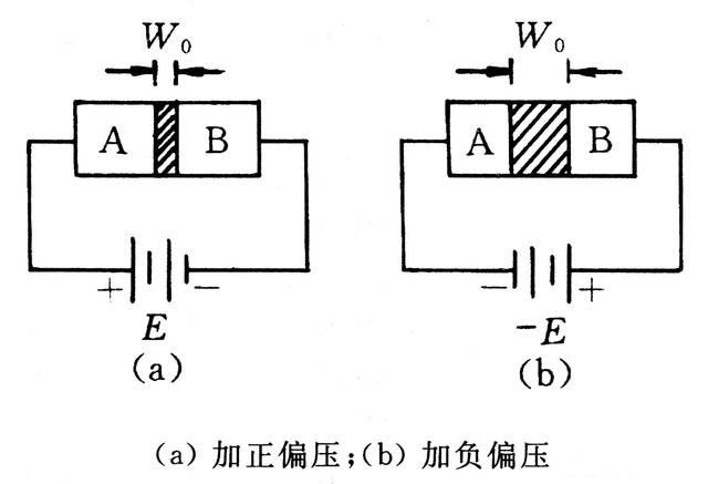 肖特基麻豆国产一区