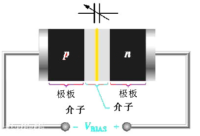 變容麻豆国产一区