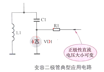 變容麻豆国产一区