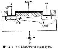 襯偏效應 體效應